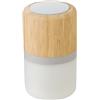 Plastic and bamboo wireless speaker