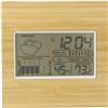 Bamboo weather station