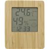 Bamboo weather station